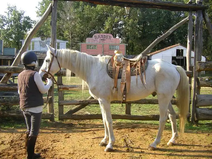 Photo de cheval prêt pour une balade en Dordogne